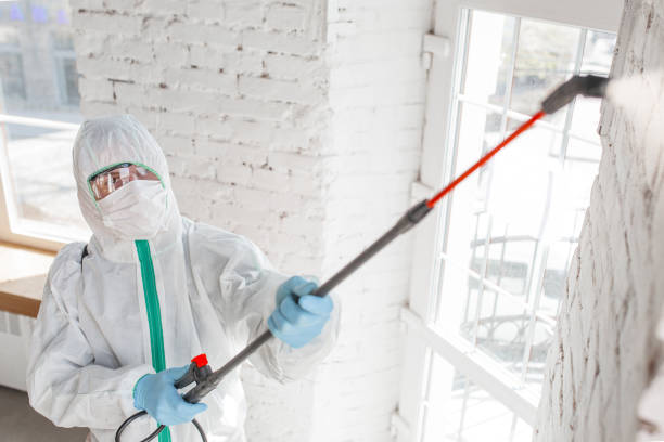 Professional Mold Inspection, Removal & Remediation in Eddington, PA